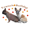 Français Fleurs de bouledogues