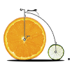 Fruit Bicycle
