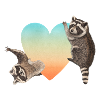 Raccoon akvarel hjerte