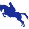 equitation cavalier obstacle cheval saut