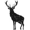 Roe deer