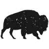Bison