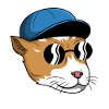 Cat with sunglasses undercover
