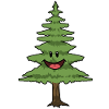 Pine Tree Pine Trees Firs