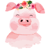 Aquarelle De Cochon