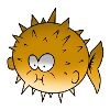 puffer fish