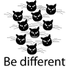 be different cat