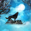 Awesome wolf in the night