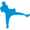 French boxing savate