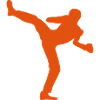 french boxing savate