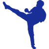 French savate boxing