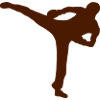 French savate boxing