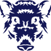 boar head animals feroce