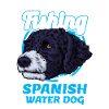 Spanish Water Dog