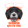 Spanish Water Dog