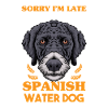 Spanish Water Dog