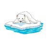 Eisbär Eisbären Bären Tiere Bär Kinder Baby