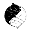 Cat Ying Yang Katezen Kitten