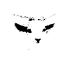 Braknitsa Goat