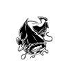 Waller Fisher Catfish Welsangler Catfish