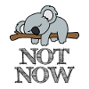 Not Now Koala Life
