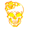 Skull Shirt Skull Skull