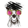 Llama / alpaca