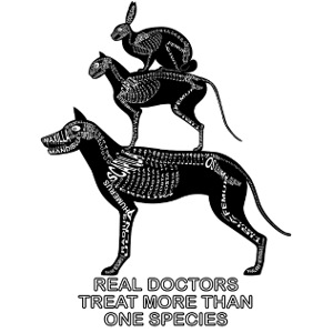 Real Doctors ... pets