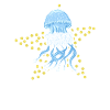 Jellyfish jellyfish starfish gift