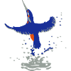 eisvogel