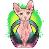 Regalo musicale per cuffie Sphynx Cat Kitten