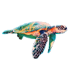 Sea turtle