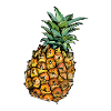 pineapple