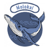 humpback molokai