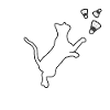 badminton cat