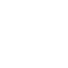 pilot