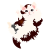 Bébé chat doux