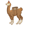 alpaca