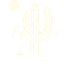 Cactus desert