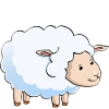 Sheep knows
