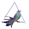 A for Aves