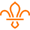 fleur de lis