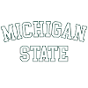 MSU Michigan State University