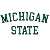 MSU Michigan State University