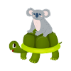 Koala Riding Turtle Gift