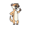 Animal suricate