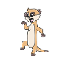 Suricate