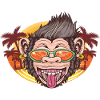 Cool monkey beach gift