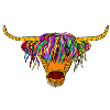Highland Bull