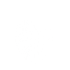 Botanical Monstera minimizes cleanliness